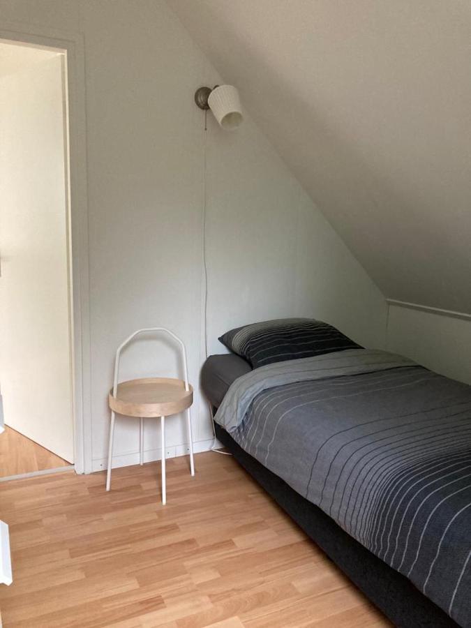 La Casa De Gasselte, Een Gezellig Ruim Huis In Drenthe Pal Naast Het Bos Zewnętrze zdjęcie