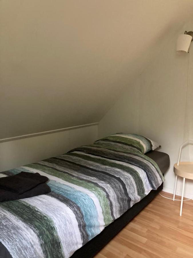 La Casa De Gasselte, Een Gezellig Ruim Huis In Drenthe Pal Naast Het Bos Zewnętrze zdjęcie